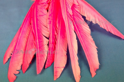Декоративный Пучок из перьев, перо 25см/розовый - купить в Орске. Цена: 14.40 руб.