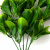 Трава искусственная -1, шт (эвкалипт лист 32 см/8 см)				 - купить в Орске. Цена: 169.93 руб.