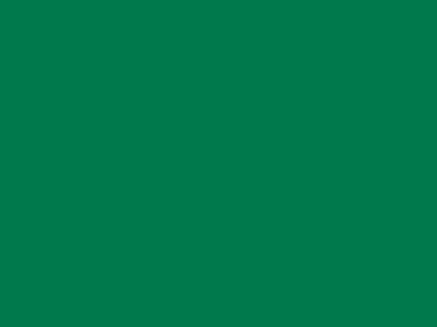 85 см № 258 яр. зеленый спираль (G) сорт-2 - купить в Орске. Цена: 16.97 руб.