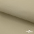 Ткань подкладочная TWILL 230T 14-1108, беж светлый 100% полиэстер,66 г/м2, шир.150 cм - купить в Орске. Цена 90.59 руб.
