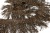 008-коричневый, Бахрома арт.001 шир.10см (упак.12+/-0,5м) - купить в Орске. Цена: 1 017.33 руб.