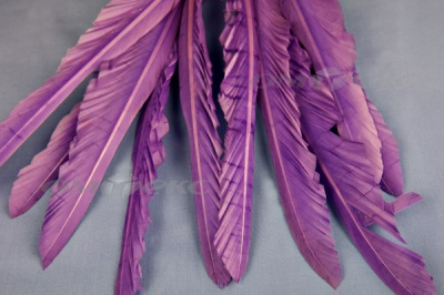 Декоративный Пучок из перьев, перо 25см/фиолетовый - купить в Орске. Цена: 12.19 руб.