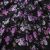 Плательная ткань "Фламенко" 20.1, 80 гр/м2, шир.150 см, принт растительный - купить в Орске. Цена 241.49 руб.