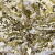 Трикотажное полотно, Сетка с пайетками, шир.130 см, #315, цв.-белый/золото - купить в Орске. Цена 693.39 руб.