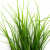Трава искусственная -3, шт (осока 50 см/8 см  5 листов)				 - купить в Орске. Цена: 124.17 руб.