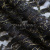 Кружевное полотно XD LACE 1-4, 80 гр/м2, шир.150см, цвет чёрный - купить в Орске. Цена 245.94 руб.